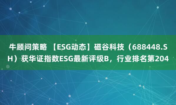 牛顾问策略 【ESG动态】磁谷科技（688448.SH）获华证指数ESG最新评级B，行业排名第204