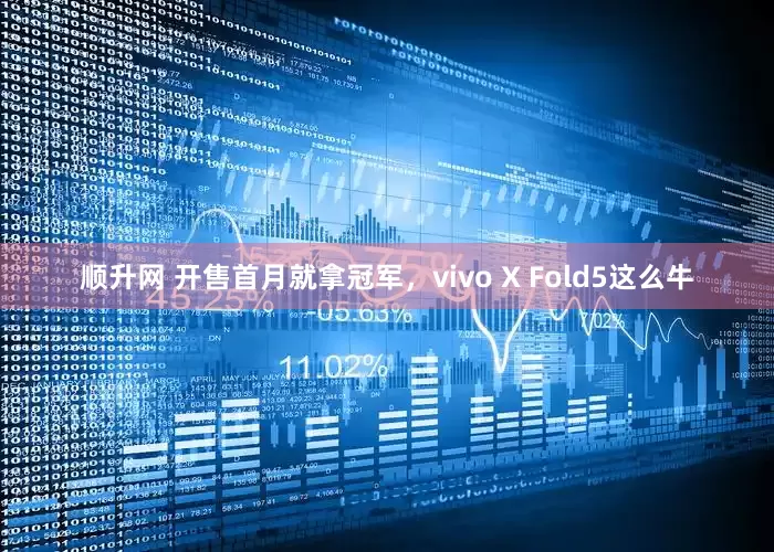 顺升网 开售首月就拿冠军，vivo X Fold5这么牛