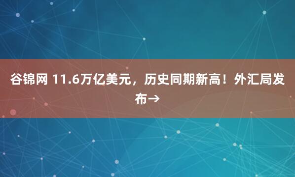 谷锦网 11.6万亿美元，历史同期新高！外汇局发布→
