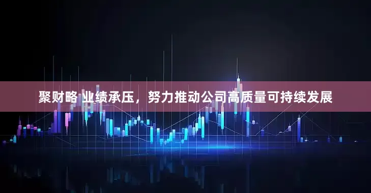 聚财略 业绩承压，努力推动公司高质量可持续发展