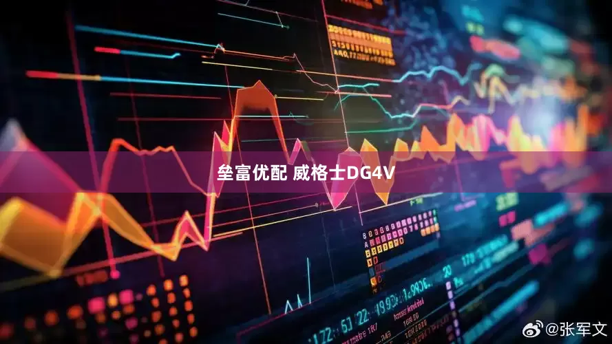 垒富优配 威格士DG4V